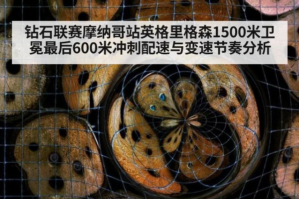钻石联赛摩纳哥站英格里格森1500米卫冕最后600米冲刺配速与变速节奏分析