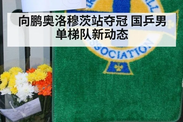 向鹏奥洛穆茨站夺冠 国乒男单梯队新动态
